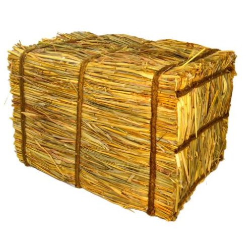 Taburete / Alpaca de paja