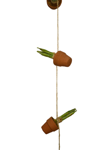 15132 GUISANTES (3)-web