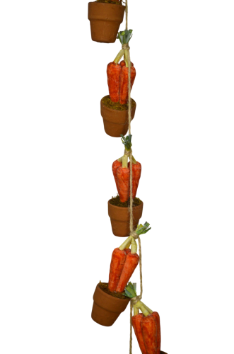 15134 ZANAHORIAS (3)-web