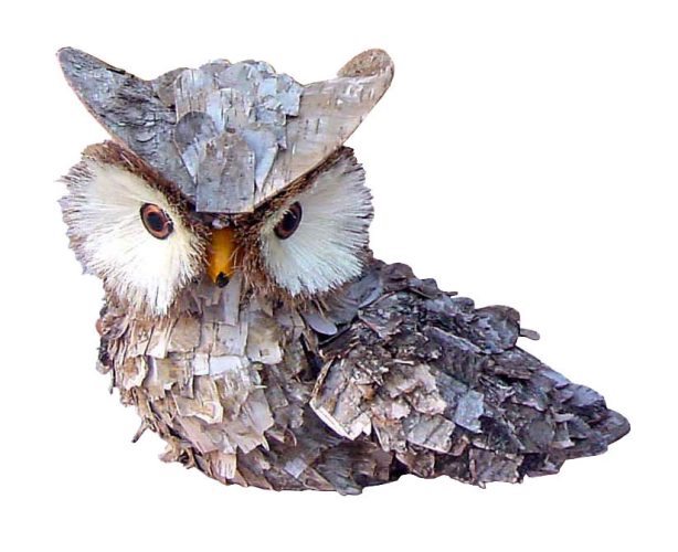 Buho corteza alas abiertas