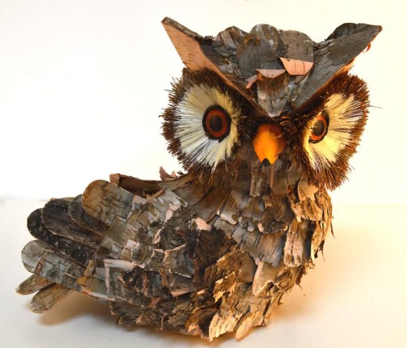 Buho corteza alas cerradas