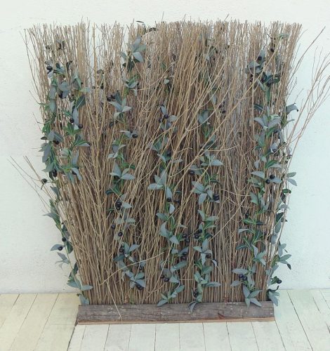 Valla ramas de aceitunas