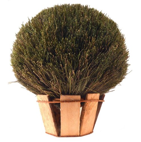 Bola retama con macetero