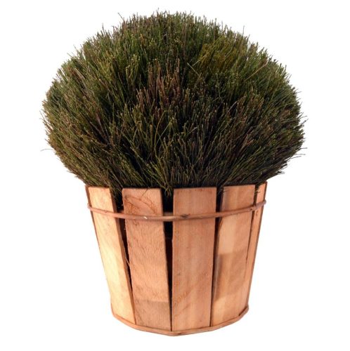 Bola retama con macetero