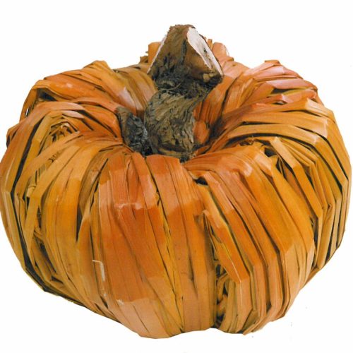 Calabaza anea teñida