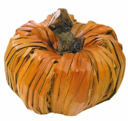 Calabaza anea teñida
