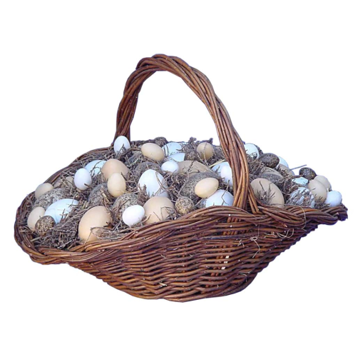 Cesta de huevos