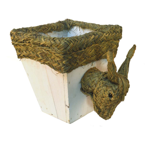 Macetero madera con cabeza de burro