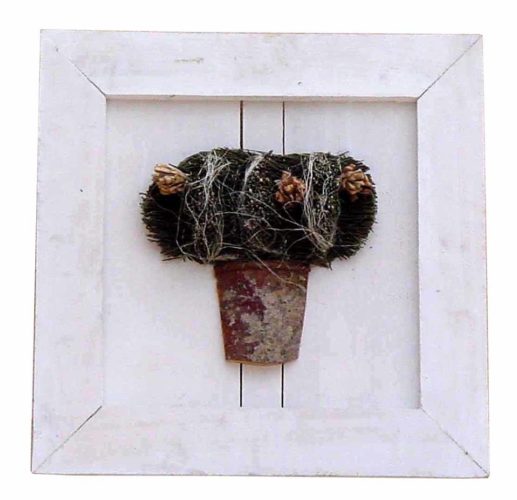 Cuadro de cactus