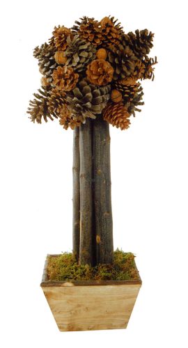 Árbol bola de piñas