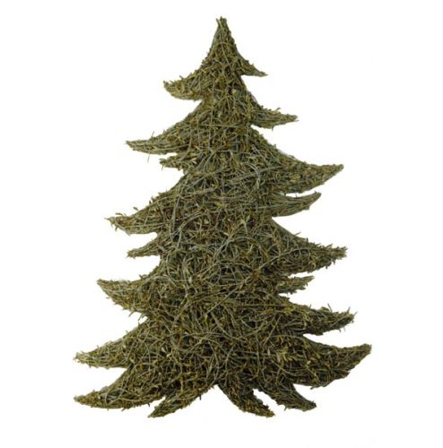 Pino pared olivo con luz