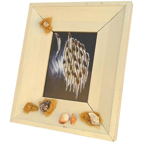 Portafotos de conchas y esponjas