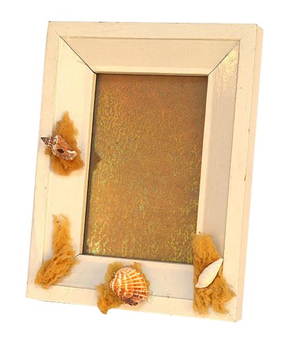 Portafotos de conchas y esponjas