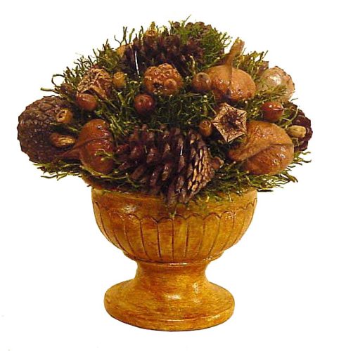 Centro de frutos secos