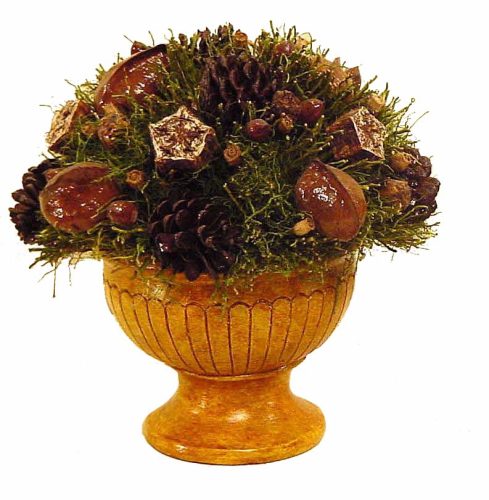 Centro de frutos secos