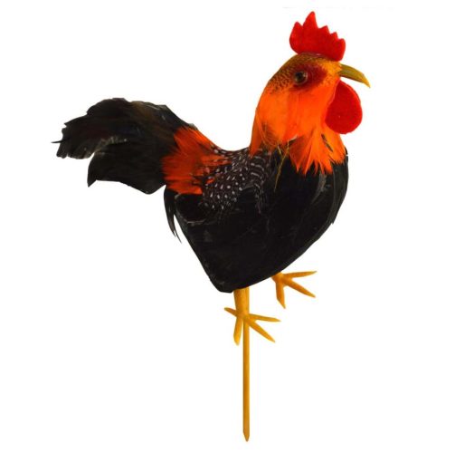 Sticker gallo plumas