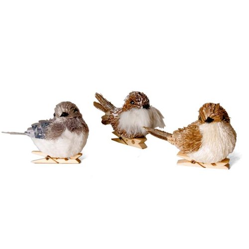 Pájaro con pinza, surtidos