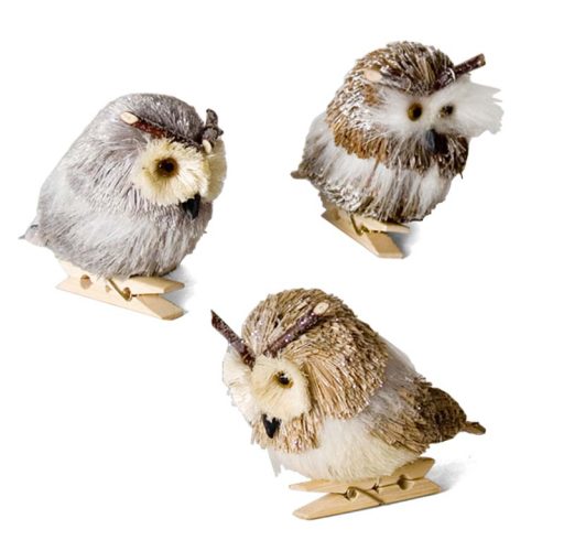 Buho con pinza, surtidos