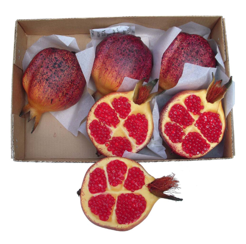 Caja 6 medias granadas plástico