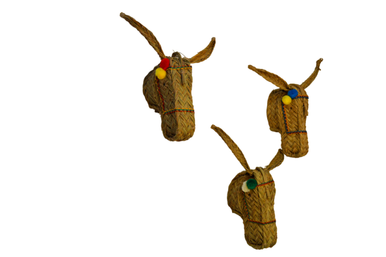 636-2 Cabeza burrro d-Photoroom