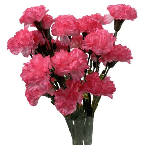 8281-Rosa