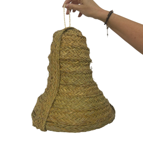 Imagen de WhatsApp 2025-10-08 a las 11.07.30_81a9aa43-Photoroom